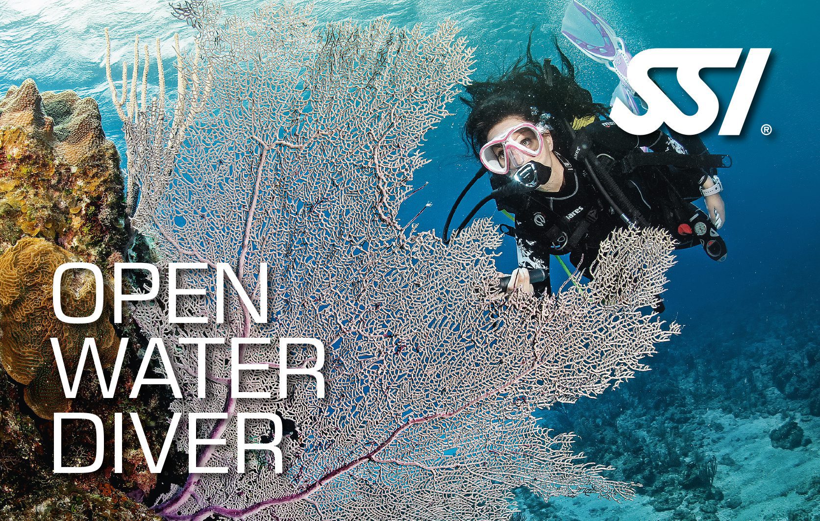 Open Water Diver Metro Divers